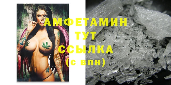 стаф Белокуриха