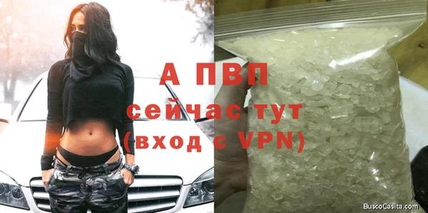 эйфоретик Беломорск