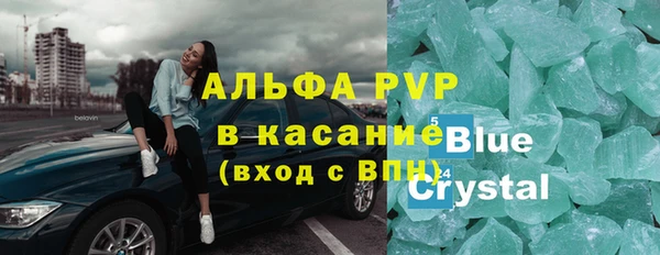 стаф Белокуриха