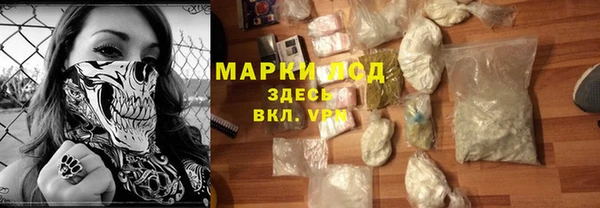 стаф Белокуриха