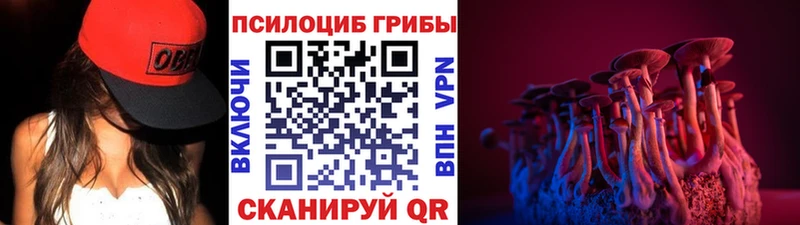 Галлюциногенные грибы MAGIC MUSHROOMS  хочу   blacksprut как зайти  shop телеграм  Сланцы 